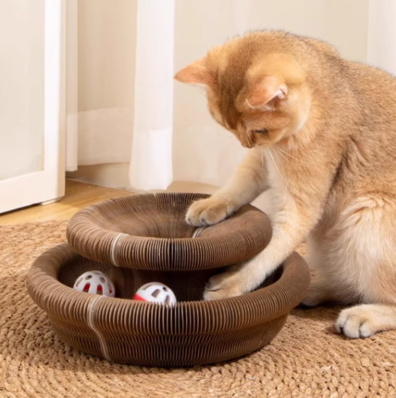 Foldable Magic Accordion Cat Scratcher – Entertaining and Stress-Relieving